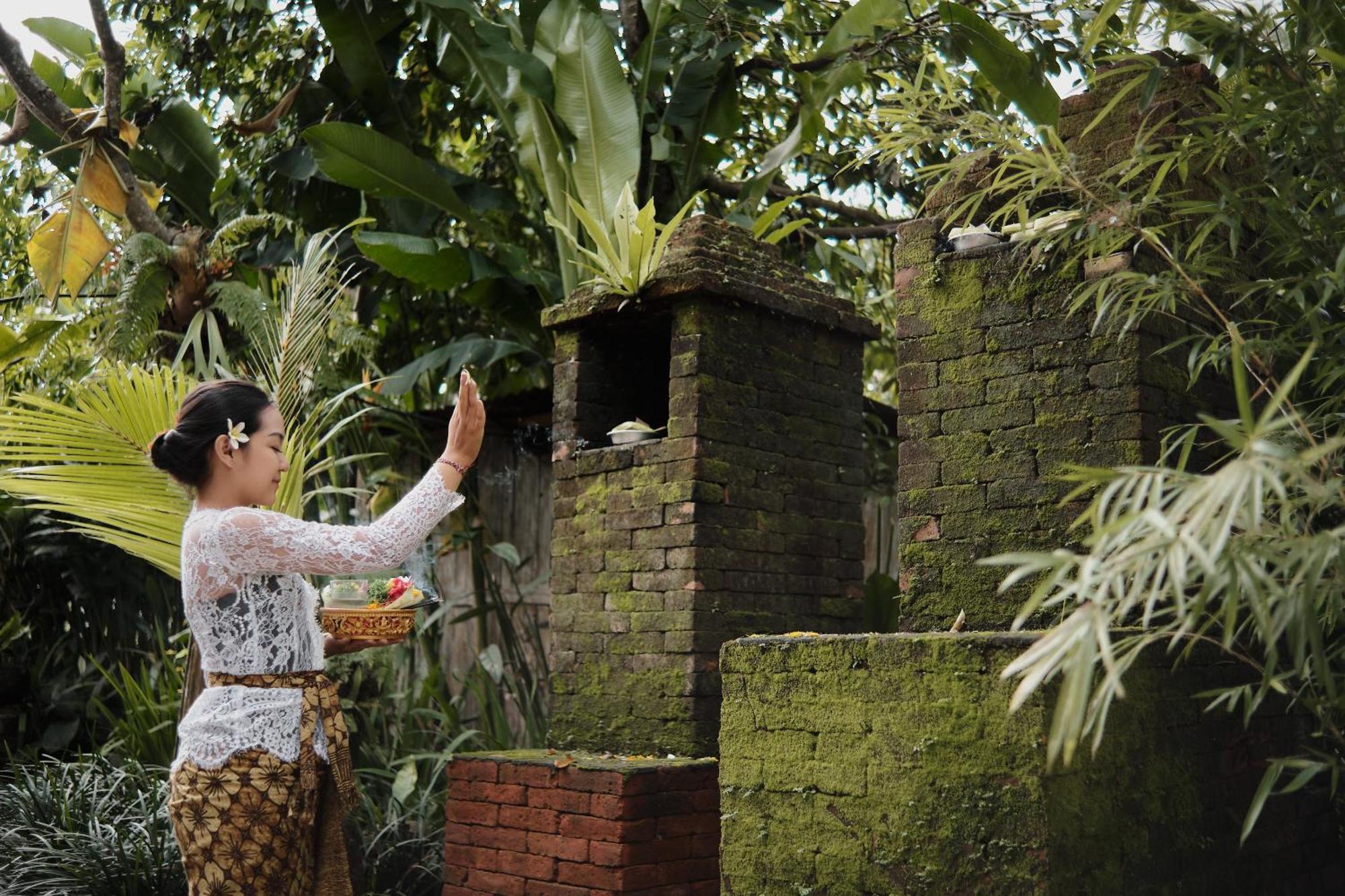 Joglo Organik Guesthouse Ubud  Bagian luar foto